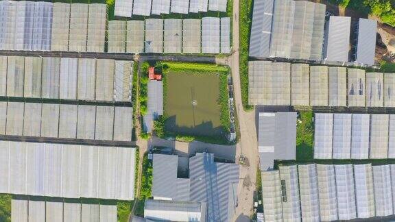 与稻田相结合的农业概念中的花园植物工业农场屋顶鸟瞰图水培天然食品作物自然景观背景