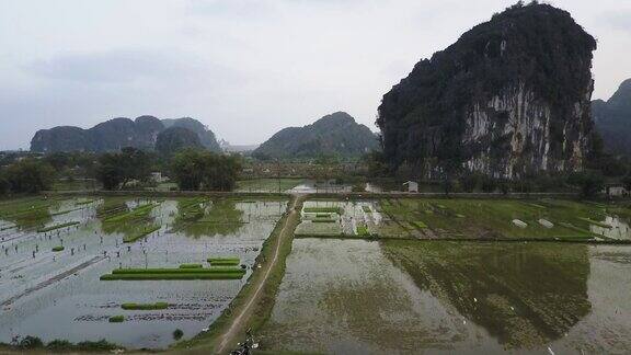 越南空中的稻田