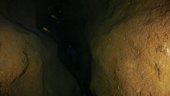 在黑暗的海底洞穴里游泳