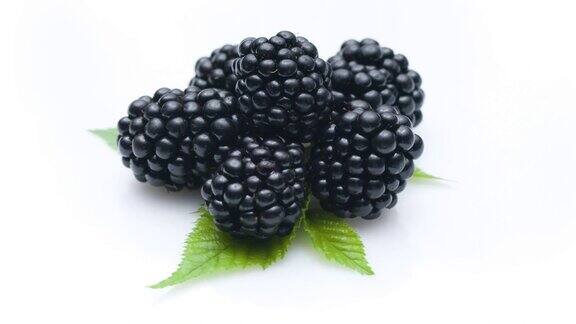 成熟的黑莓与黑莓的叶子孤立的白色背景慢慢地充分顺时针旋转360度