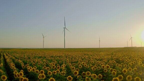 金色向日葵与风力涡轮机农场在日落