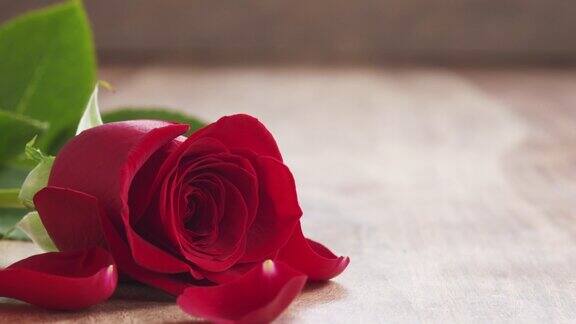 旧木桌上的一朵红玫瑰花瓣缓缓飘落