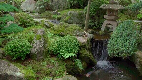 美丽的日本花园装饰树木和锦鲤鱼塘