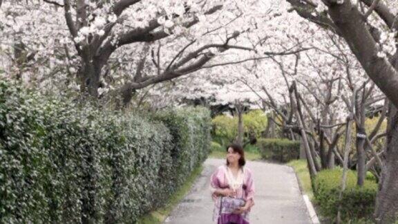 NTSC:孕妇在樱花下行走(视频)