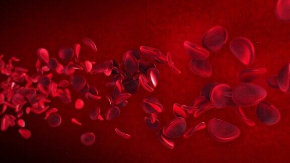在动脉循环中流动的红细胞