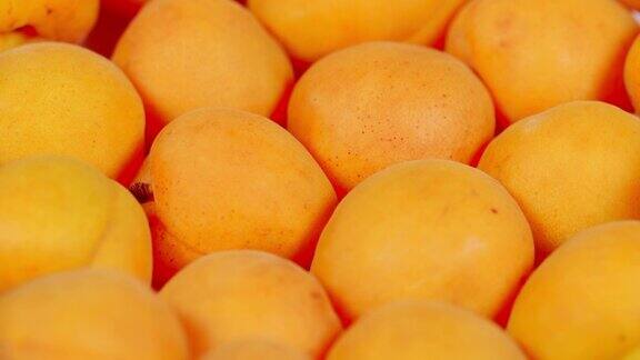 成熟的杏子、水果新鲜成熟的杏子在明亮的背景下旋转