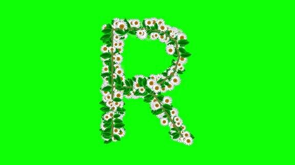 英文字母R绿色屏幕背景上有雏菊花