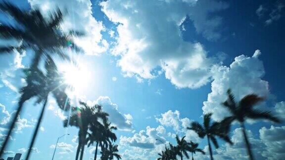 在蓝天和棕榈树下开车