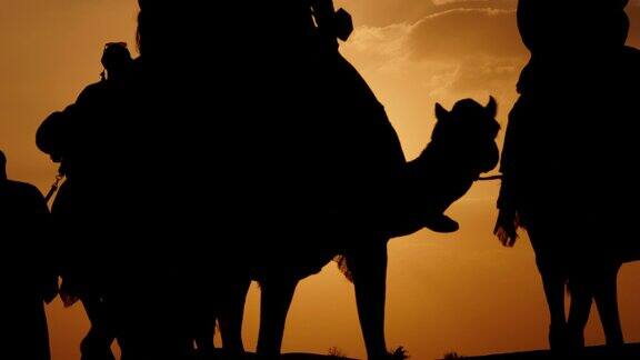 晚上骑骆驼迪拜