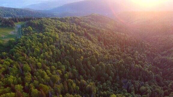 美丽的鸟瞰图的森林在山上日落