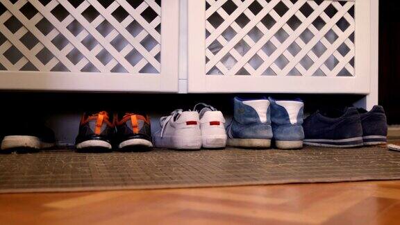 有家庭存放鞋空间的鞋架