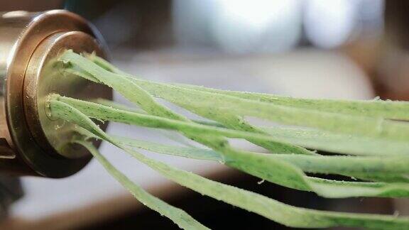 新鲜的绿色意大利面和从意大利面机里出来的spinatos特写传统的意大利自制宽面条在意大利面机