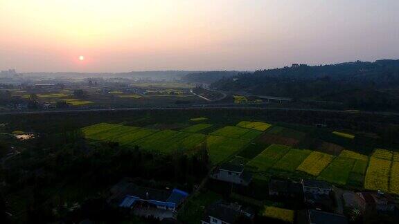 鸟瞰图美丽的春天中国农村在盛开的油菜花田在清晨日出