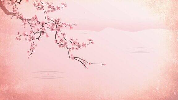 樱花在水上盛开