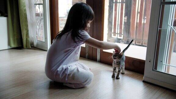 小女孩和她的小猫