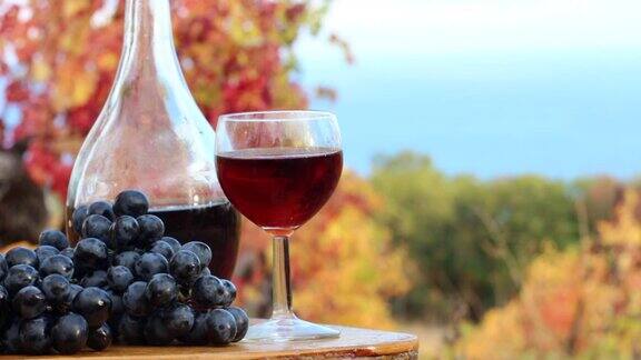 一杯红酒和葡萄沿岸的葡萄园