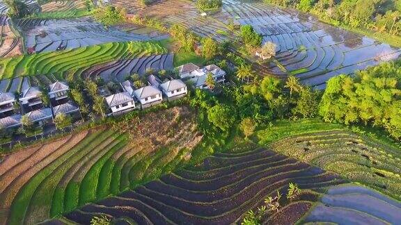 彩色梯田鸟瞰图