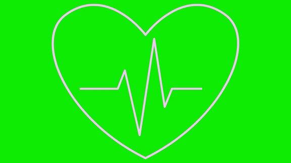 动画粉色跳动心脏与心电图心脏跳动的线性符号心脏跳动的循环视频保健学、心脏病学、医学矢量插图隔离在绿色背景上