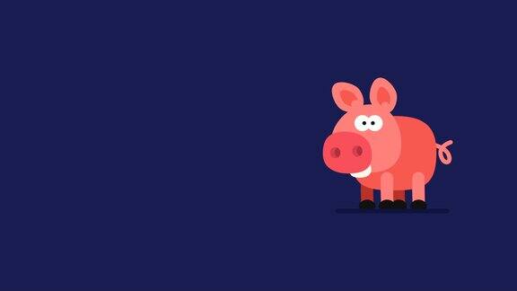 猪和闪烁的星星有趣的动物字符中国星象