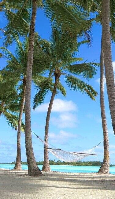 垂直方向:夏日微风吹拂着棕榈树下的吊床
