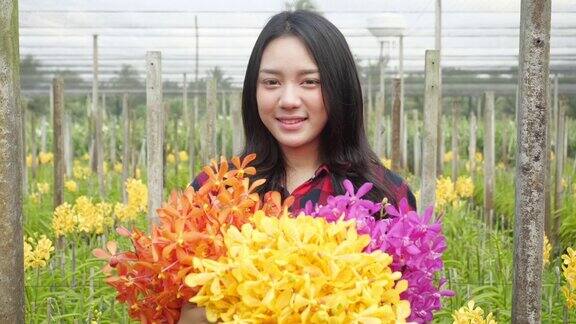 亚洲年轻女子农民收获和工作在兰花农场女注在片剂中切在花篮中生长兰花花卉种植园的主人视察了农场准备向市场出售