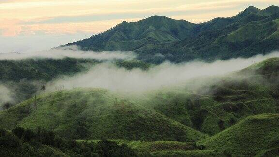 风景照片树木剪影和海雾在早上从泰国北碧的视角