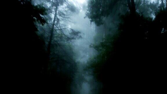 闹鬼的森林