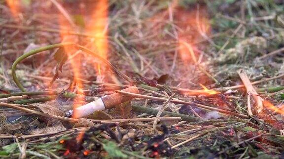 扔出来的香烟把草地点着了一个人把一支香烟扔在干燥的草地上火灾隐患