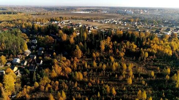 鸟瞰图的秋天森林秋天的风景无人机视频4k