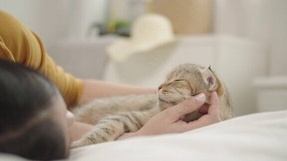 可爱的亚洲女人和可爱的猫一起享受和放松在床上