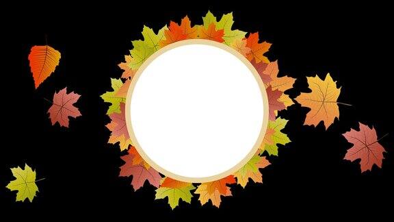 秋天或落叶落在黑屏上动画背景在帧的中心有复制空间