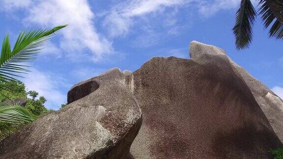塞舌尔海滩上的岩石和棕榈树