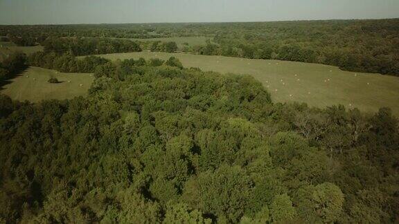 詹姆斯河盆地斯普林菲尔德密苏里早春农业和森林4K航拍视频