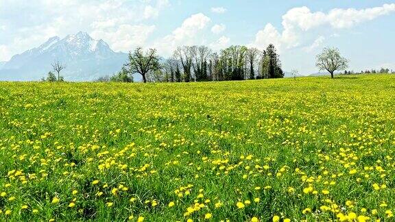 春天的风景瑞士