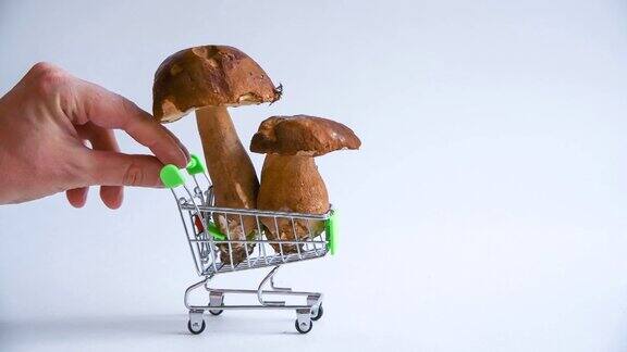 人控制与蘑菇购物车