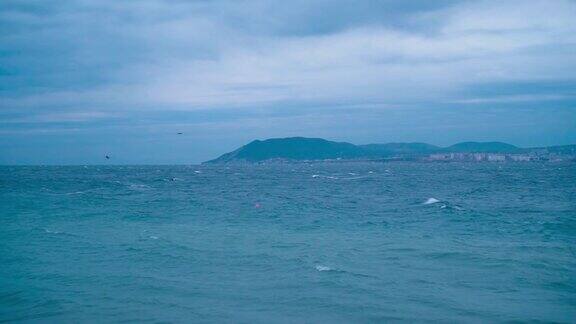 黑海中的一群海豚海豚在暴风雨中靠近海岸游泳风暴巨浪一群海豚