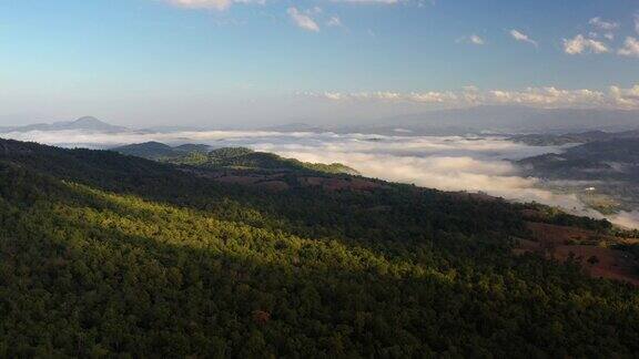 从鸟瞰图上看雨林和雾覆盖了一个山谷