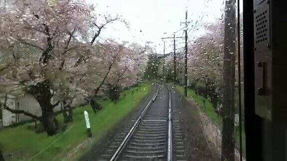 国内日本火车路过美丽的樱花树
