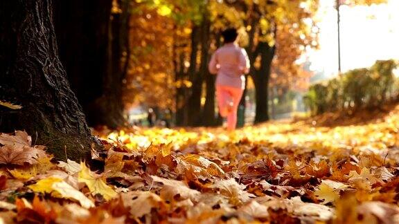滑动镜头:一名女子秋天在公园慢跑