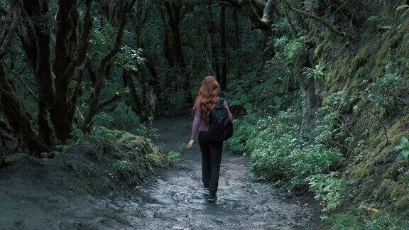 一个女人走在魔法森林里红发长发女孩背着背包