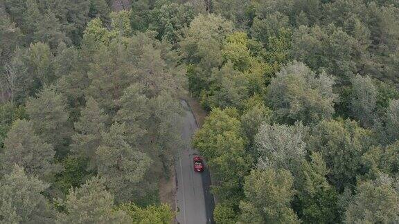 红色汽车在森林中行驶
