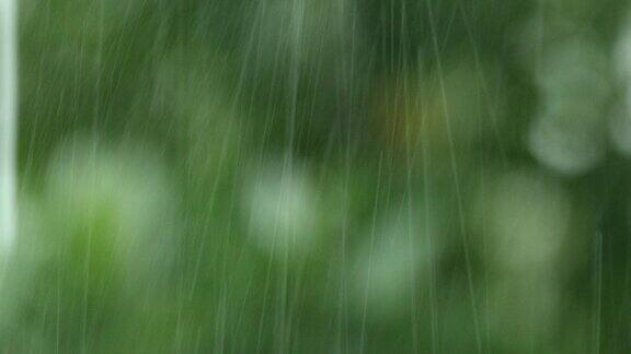 热带暴雨