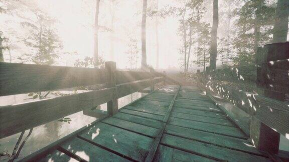 悬吊木桥横跨河流通向雾蒙蒙的神秘森林
