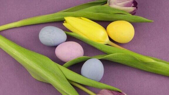 紫罗兰色背景映衬着郁金香和复活节彩蛋
