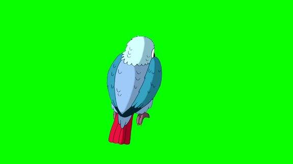 蓝色的鹦鹉经典迪士尼风格动画