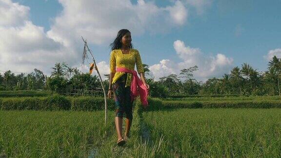 美丽的年轻女子走在稻田的中间穿着巴厘岛的服装周围是棕榈树加上过渡到黑色
