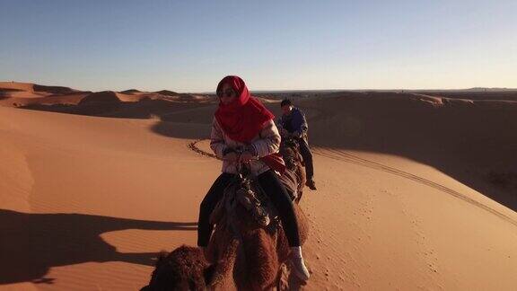 非洲撒哈拉沙漠骑骆驼旅游列车