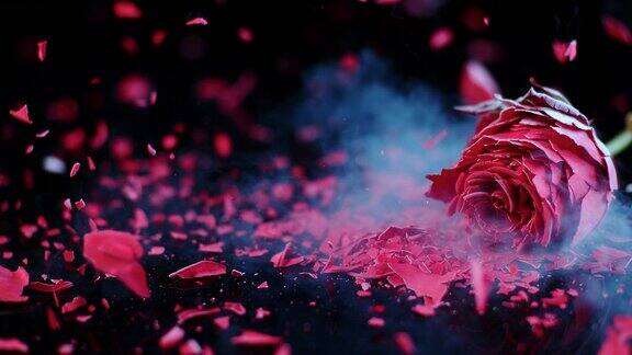 SLOMO冰冻的红玫瑰粉碎在黑色的表面