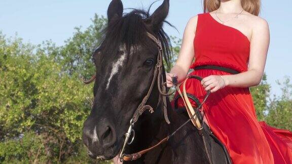 年轻的女孩穿着红色的长裙骑着黑马