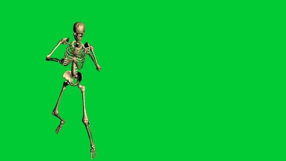 骨骼拳击的3d动画-在绿色屏幕上分离